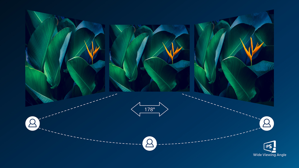 101929994-665e7e45e8a16266602268.jpg