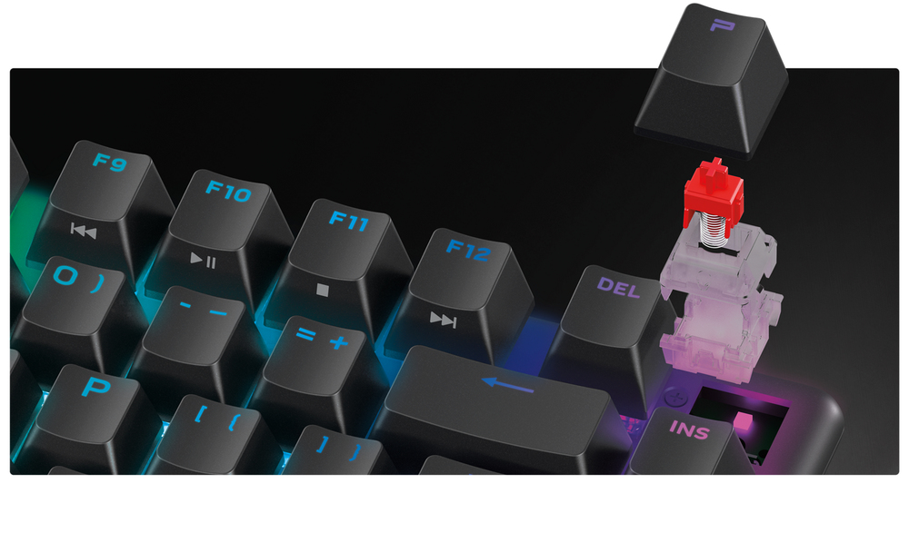 118400727-65ae919d26394546994883.jpg