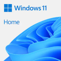 Microsoft Windows 11 Home Lizenz inkl. Installation