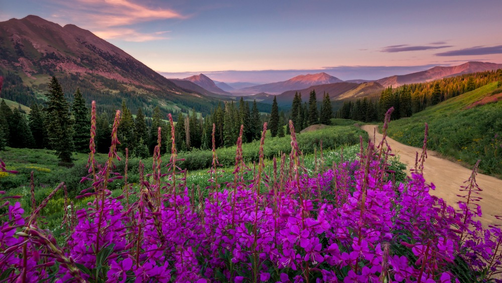 129543753-67dc4039d11a2984746767.jpg