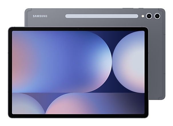 Samsung Galaxy Tab S10+ X826 | sm-x826bzareub | Moonstone Gray - 12GB RAM