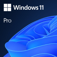 Microsoft Windows 11 Pro 64Bit, DSP/SB (multilingual) (PC)