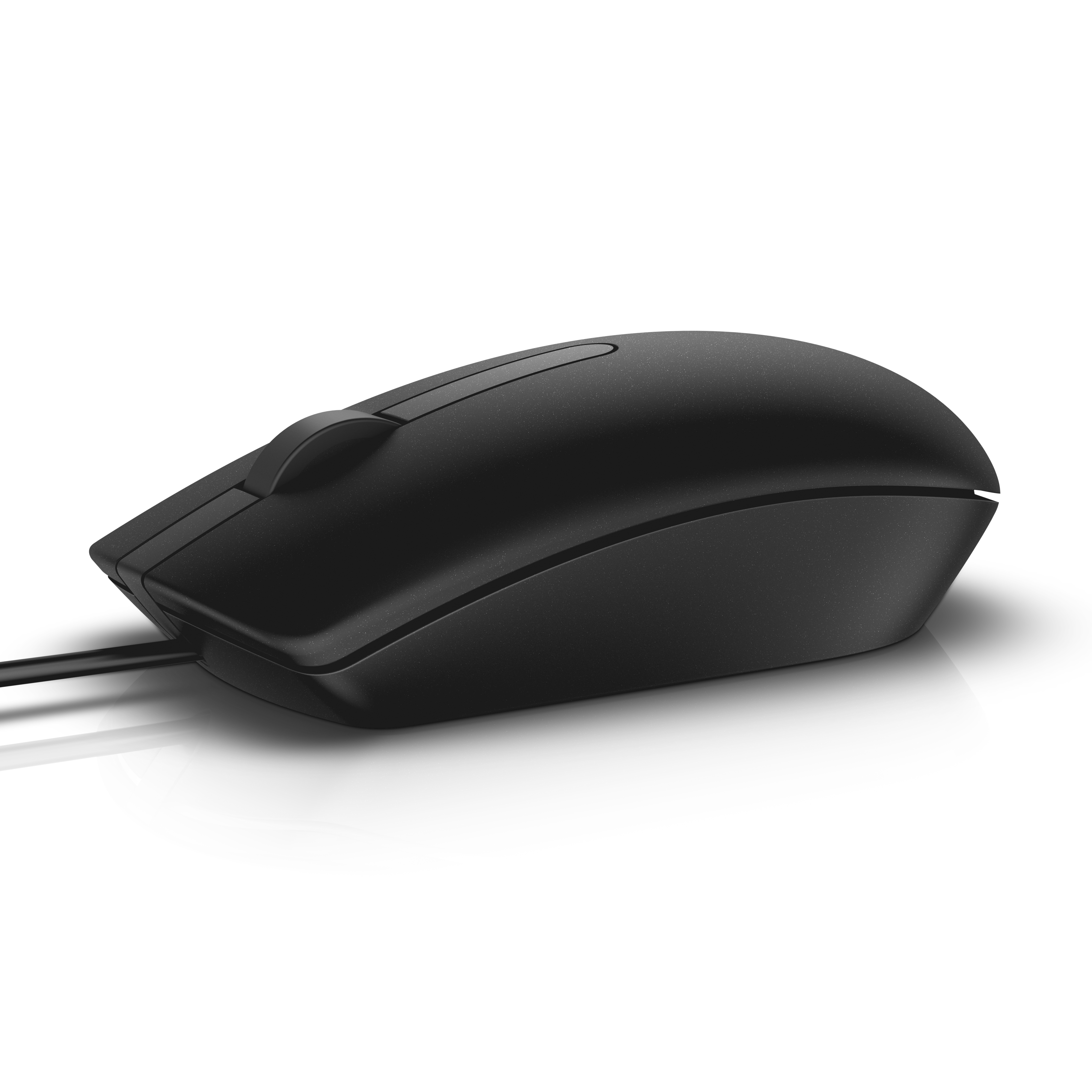 Dell MS116 | ms116 | Maus - optisch