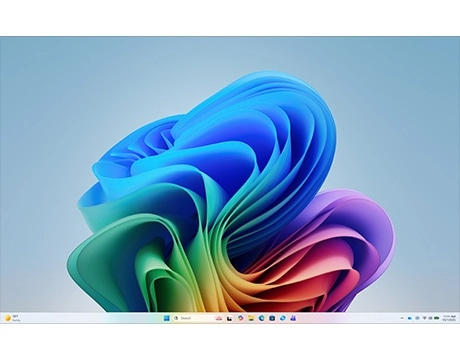 145155634-6a6736ac1de8b932602824.jpg