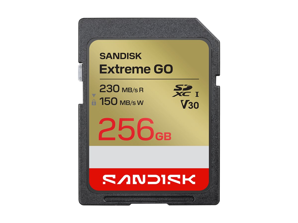 SanDisk Extreme Go | sdsdxgn-256g-gncin | Flash-Speicherkarte - 256 GB
