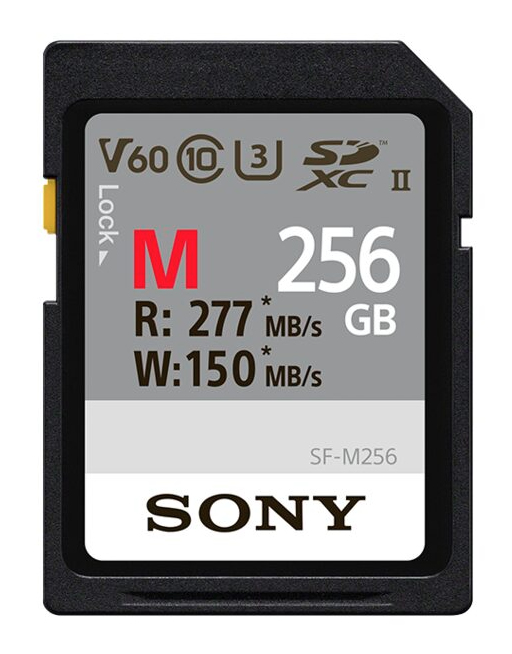 Sony SF-M Series SF-M256 | sfg2m | Flash-Speicherkarte