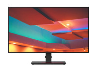 Image of Lenovo ThinkVision P27q-20 - 27" (68,6cm) 16:9 WQHD IPS Monitor