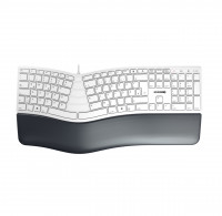 Image of Cherry KC 4500 ERGO - Tastatur - Deutsch - Grau