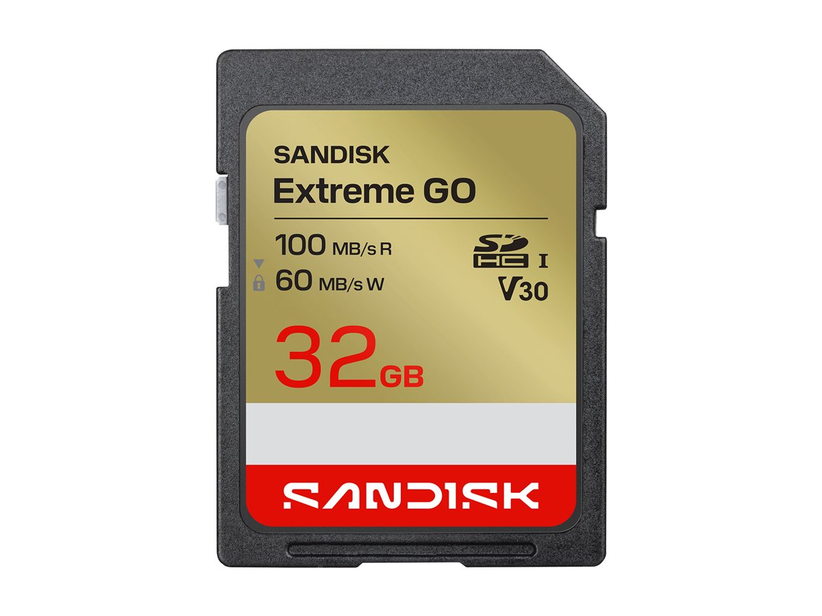 SanDisk Extreme GO SD UHS-I Memory Card - 32GB - SDSDXGN-032G-GNCIN